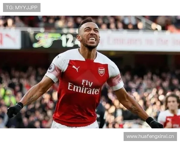 凯恩与奥巴梅扬进球效率对比分析