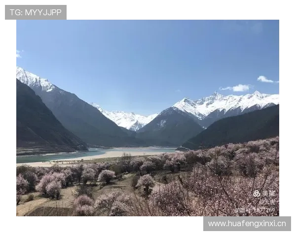 汪周雨上半场像大片男主，下半场像来领快递的邻居，这反差笑死我了