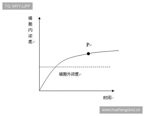 如何理解三秒规则国际差异背后的判罚逻辑与执行标准