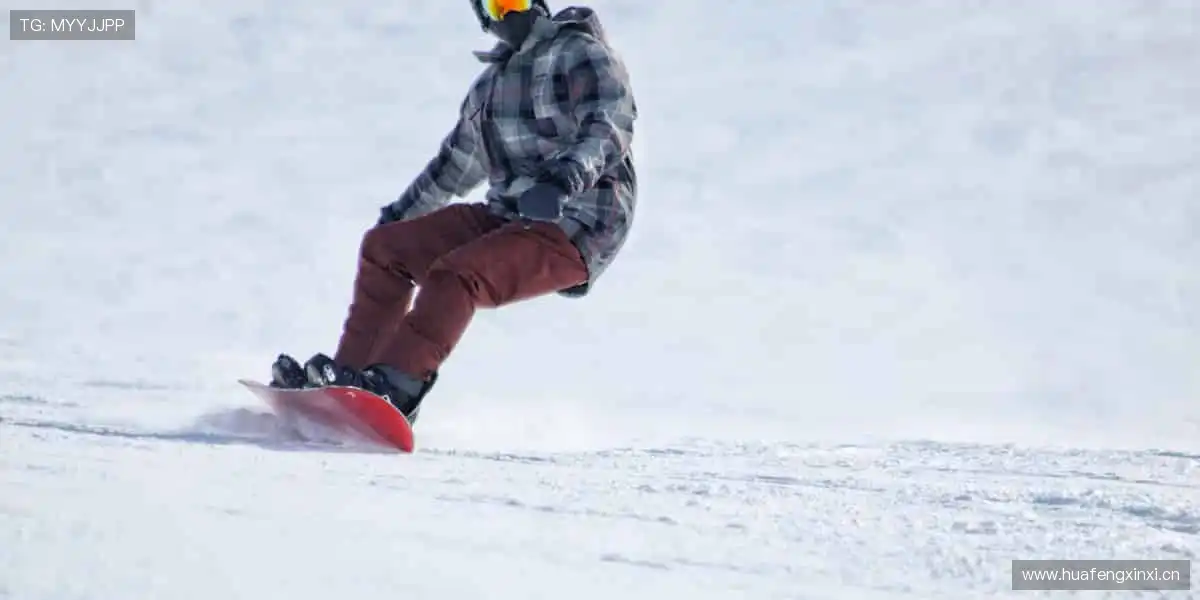 🎯匠心打造，运动装备与时尚完美碰撞！👟